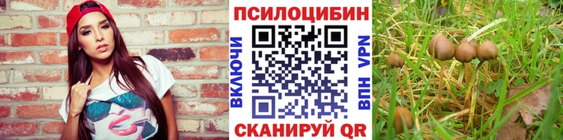 Галлюциногенные грибы мухоморы  Тейково 