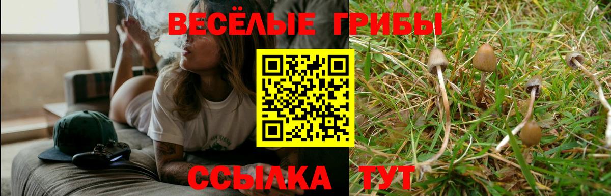 Галлюциногенные грибы прущие грибы Тейково
